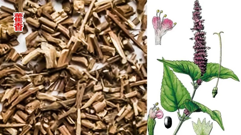 1661499142320192.jpg 1.jpg