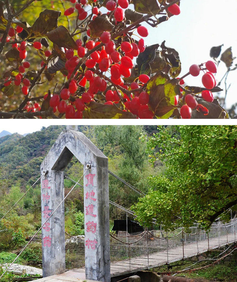 1662087881878937.jpg 6666.jpg